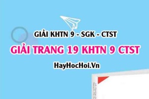 Giải KHTN 9 trang 19 Chân trời sáng tạo SGK